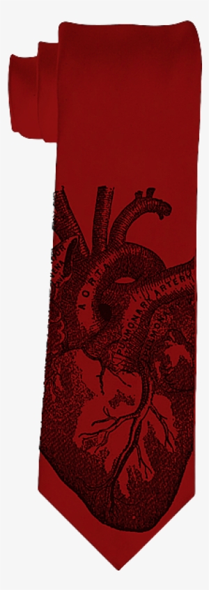 Anatomical Heart Necktie - Anatomical Heart Ornament (oval) #863586