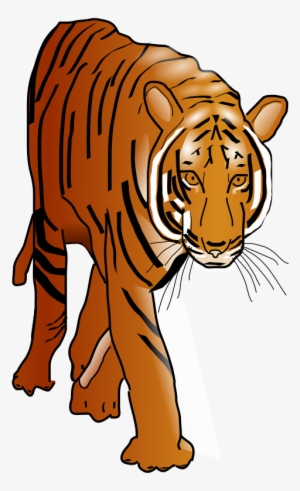 Prowling Tiger Svg Clip Arts 360 X 592 Px #863590