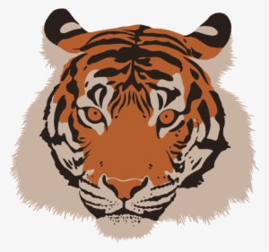 Tiger Head - Point Defiance Zoo & Aquarium #863772