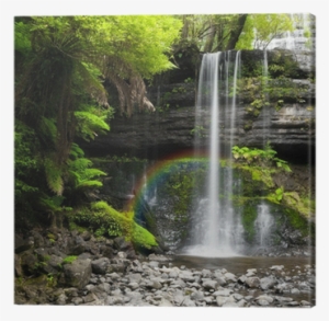 Russell Falls #863868