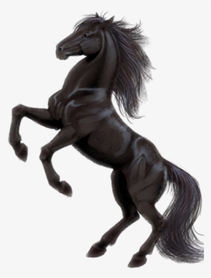 Horse Png Legs Up Clip Free Stock - Horse Necklace Circle Charm #863872