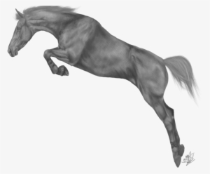 Horse Greyscale By Emmy On Deviantart - Black Horse Jump Png #863989