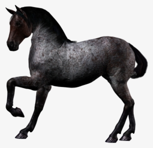 Horse Png Image - 3d Black Horse Png #864169