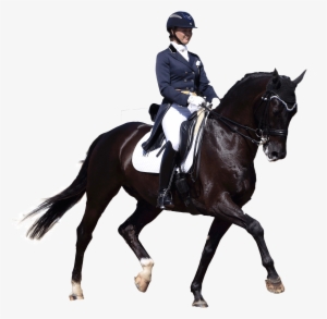 Transparent Horses Dressage - Dressage Png #864206