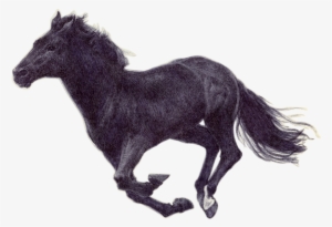 Horse Running Png Image Royalty Free Stock - Horse Running Png Gif #864254