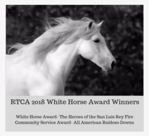 White Horse #864283 White Horse #864283