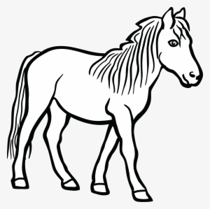 Free Clipart Of A Horse - Clip Art Of Horse #864452