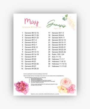 Bible - Japanese Camellia #864548