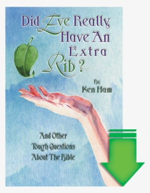 Previous - Next - Did Eve Really Have An Extra Rib? #864608