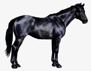 Black Is A Not So Common Color Among The Horse World - Breyer Quarter Horse #864652