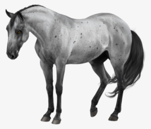 Comissions Two Horses - Blue Roan Frame Horse #864671