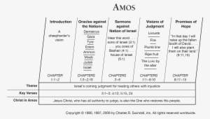 Amos Overview Chart - Document #865120