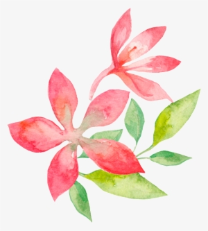 Concise Ornamental For Watercolor Flowers - Watercolor-grün-blätter-rosa Blumen Danken Ihnen Karte #865890