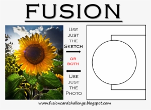 Meanwhile, After Painting, Outlining And Fussy Cutting - Rosy Diy Diamond Painting Cross Stitch Crafts #866430