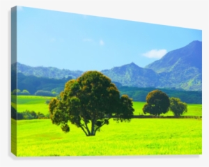 Green Tree In The Green Field With Green Mountain And - Saatchi Art #868076