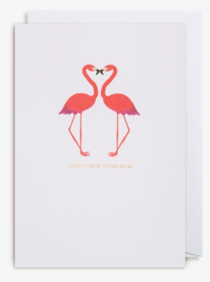 Kissing Card The Paperdashery - Flamingo #868459