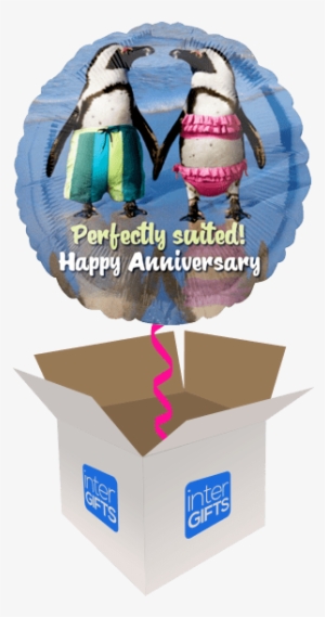 Happy Anniversary - Penguins Holding Hands Funny Anniversary Card #868871