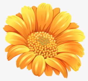 Orange Flower Png Clipart Image - Clip Art #869157