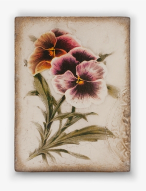 Love In Idleness - T 343 #869267