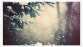 Score 50% - Snow Tree Branches Background #8601209