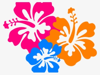 Flowers Of Hawaii Png #8602105