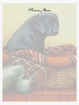 Old Site Home - Companion Dog #8603086