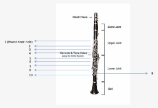 Banner Royalty Free Download Final Project Cmpt We - Clarinet Characteristics #8603676