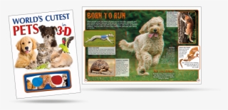 Dog Catches Something #8603819