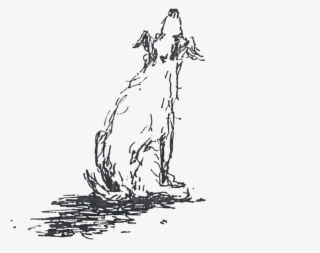 Pet - Sketch #8604021