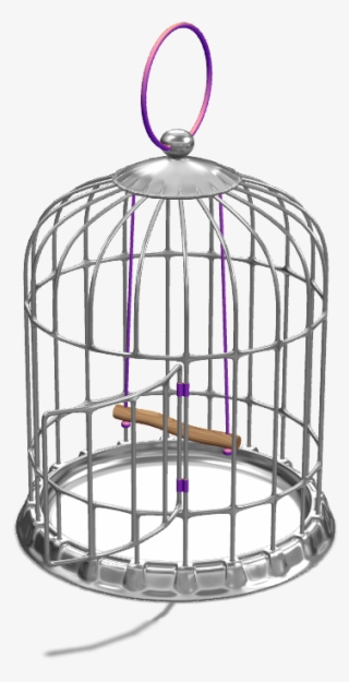 Bird Cage - Cage #8604778