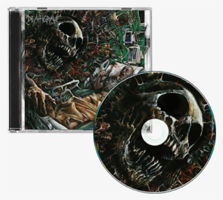 $9 - - So Real It's Now #8605012