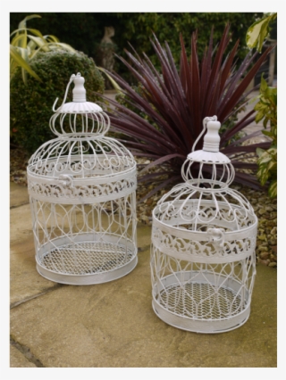Cage #8605270 Cage #8605270