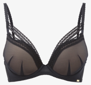 Sheer Seduction Padded Plunge Product Front - Bra #8605812