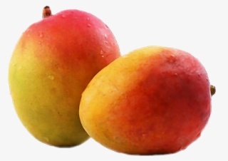 Frutas Sticker - Mango #8605925