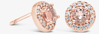 Nwj Rose Gold Earrings #8606123