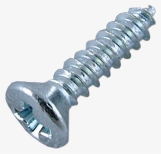 Screw - - Zinc Screw #8606405
