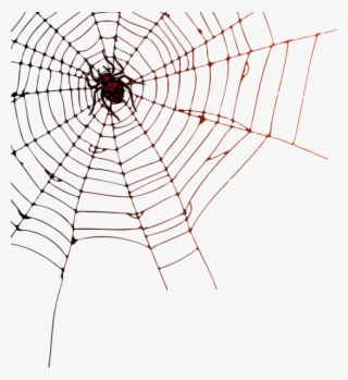 0, - Spider Web Png Transparent Background #8607233
