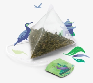 Discovery Collection Pure Sencha Green Tea - Earl Grey Tea #8607995