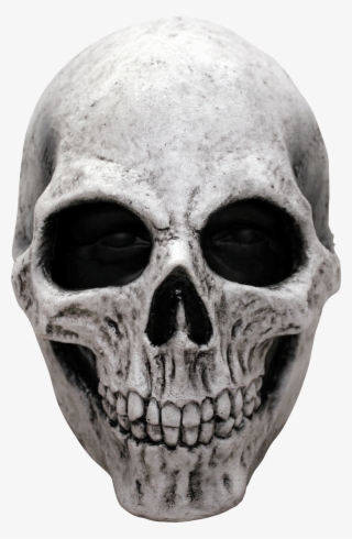 Skull Mask #8609164