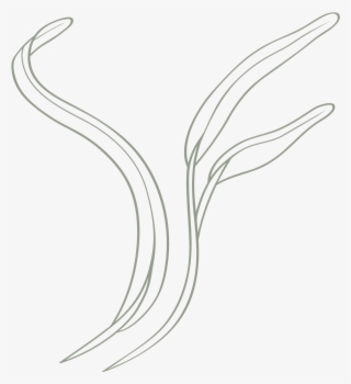 I Use A Zippo That I've Had For 10 Years To Light A - Line Art #8612577