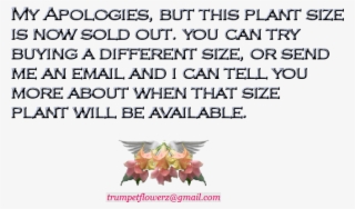 Com Shipping Map Approximate Time Table - Cattleya #8612700