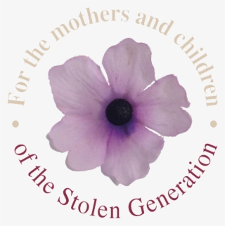 Kimberley Stolen Generation - Flower National Sorry Day #8613137