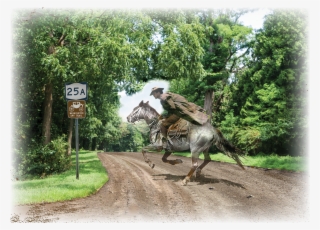 Web Design & Development By Rita D - Washington Spy Trail #8613433