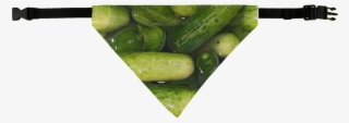 Pickles Pet Bandana - Cucumber #8613520