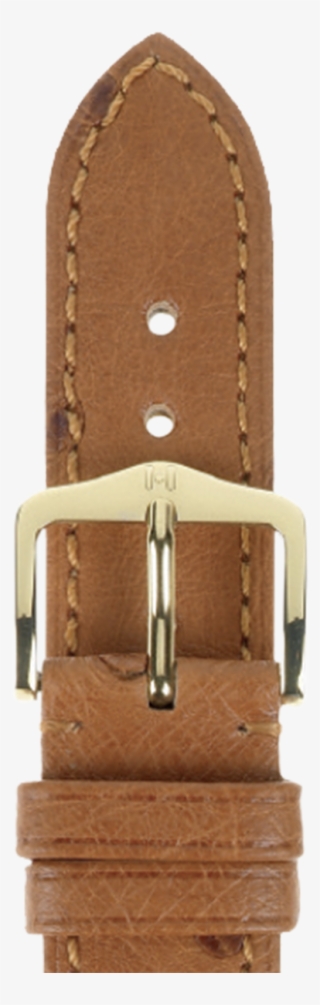 Bracelet Details - Suede #8615007
