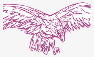 Drawn Hawk Eagle Wings Spread - Clip Art #8615285