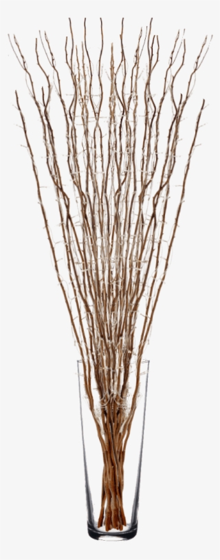 Twigs Willow With Fairy Lights - Vase #8615417