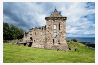 Shop - Castle #8615600