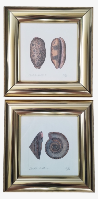 Brass Framed Numbered Prints A Pair Chairish #8617900
