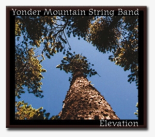 2986603 - Yonder Mountain String Band Elevation #8618053
